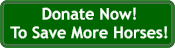 Donate to save more horses!