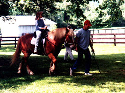 Pony Rides at our Fundraiser