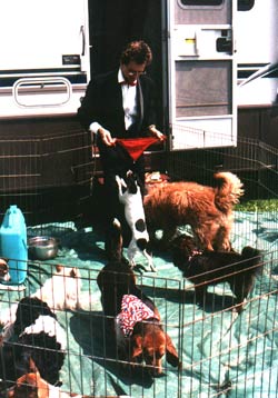 Muttville entertainment
